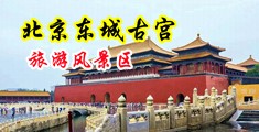 美女被大鸡巴操视频中国北京-东城古宫旅游风景区