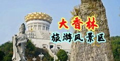 狗日逼电影中国浙江-绍兴大香林旅游风景区